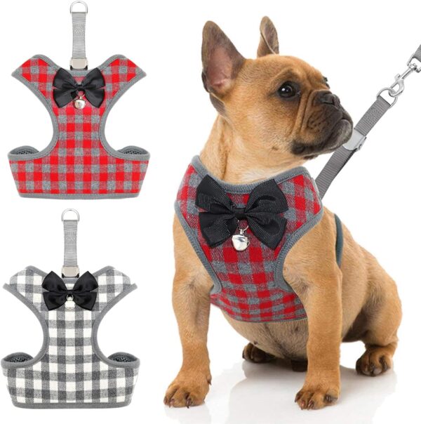 Rypet 2PCS Small Dog Harness and Leash Set - No Pull Pet Harness with Soft Mesh Nylon Vest for Small Dogs and Cats M