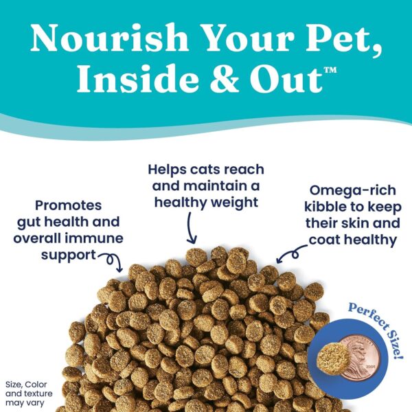 Solid Gold - Fit as a Fiddle Weight Management Cat Food - Low Calorie Grain Free Dry Cat Food Recipe with Alaskan Pollock - Superfoods & Probiotics for Gut Health and Immune Support - Image 3