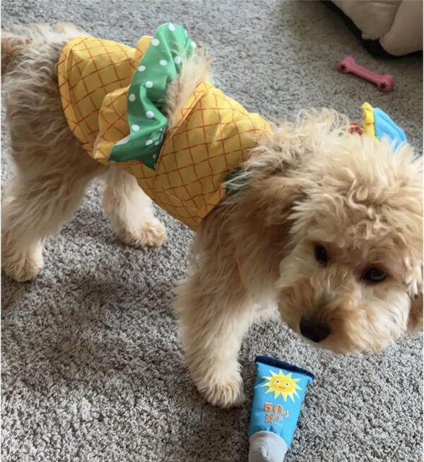 Funny Dog Swimwear Bikini Summer Dog Clothes Beach Swimsuit Puppy Bathing Suit Puppy Vest Cooling Dog Shirts Pet Shirt for Small Dog, Cat Apparel (Large, Yellow Pineapple) - Image 9