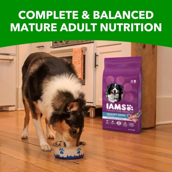 IAMS Healthy Aging Adult Large Breed Dry Dog Food for Mature and Senior Dogs with Real Chicken, 15 lb. Bag - Image 10