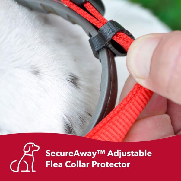 Coastal Pet SecureAway Flea Collar Protectors - Comfortable Dog Collar Accessory - Protective Flea Collar for Dogs - Adjustable Dog & Puppy Flea Collar Protection - Black - 1" x 14-20" - Image 2