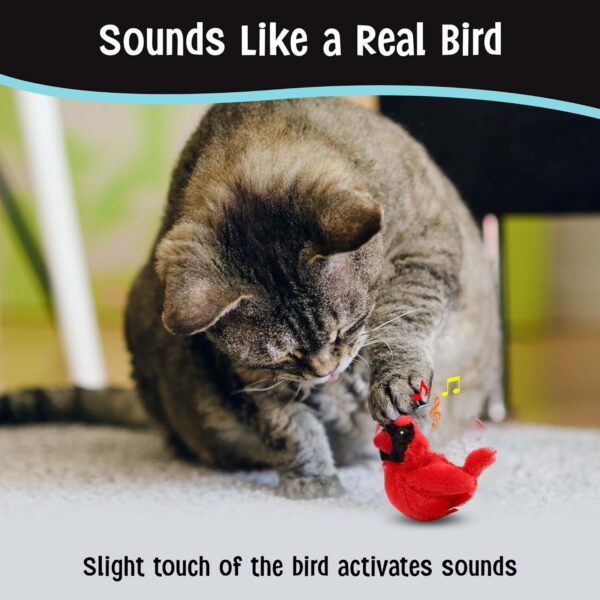 SPOT Song Birds Cat Toys - Touch Activated Singing Catnip Toy Mimics Real Bird Songs, Battery Operated Toy Satisfies Cat's Natural Urge to Hunt - One 5" Song Bird, Assorted Colors - Image 4