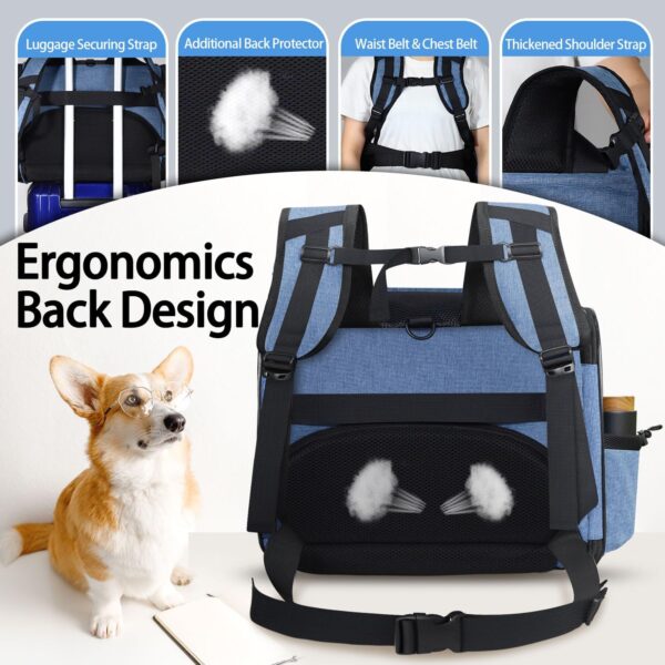 Pet Backpack Carrier 17x13x9.5 Southwest Airline Approved for 1-12 LBS Small Cats and Dogs(Blue) - Image 5