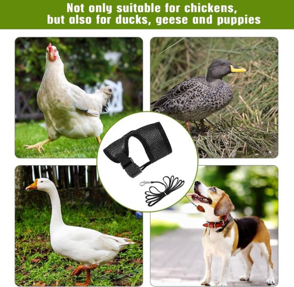 4 Pcs Adjustable Chicken Harness with Leash- 4 Styles Comfortable Hen Vest Breathable Mesh Training Harness and Leash for 2.5-3.6 Lb Duck Goose Hen Small Pets - Image 5