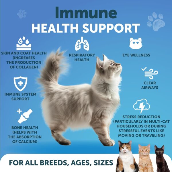 Lysine for Cats - L-Lysine Powder for Cats - Immune Support for Cats Sneezing and Runny Nose, Cat Cold, Eye Function, Respiratory Health - Allergy Relief - Lysine Supplement for Cats - Image 2