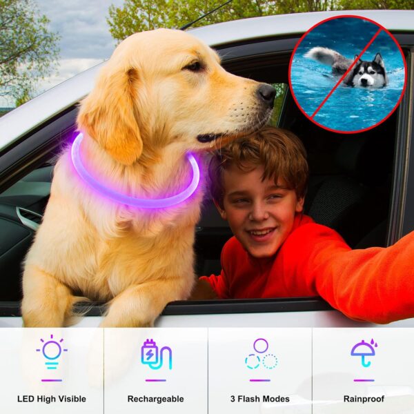 Light Up Dog Collars, Single-Color USB Rechargeable Dlitk LED Dog Collar 1 Count, TPU Cuttable Size Glow Collar for Dogs, Dog Collar Light for Large Medium Small Dogs Walking at Night (Purple) - Image 3