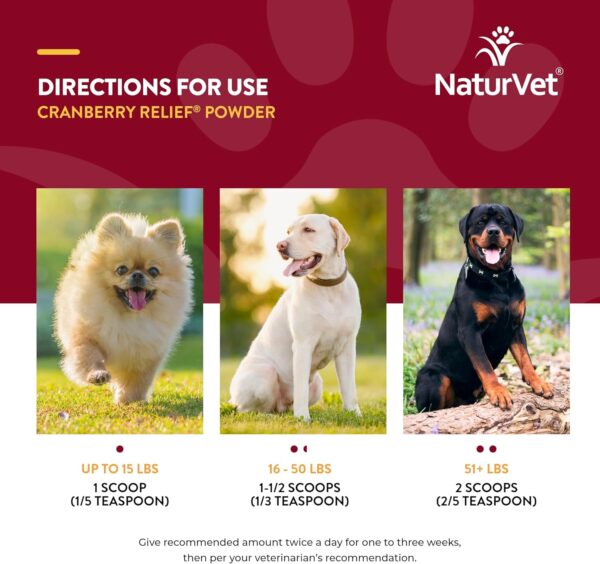 NaturVet – Cranberry Relief Plus Echinacea | Helps Support a Healthy Urinary Tract & Immune System (50g Powder) - Image 7