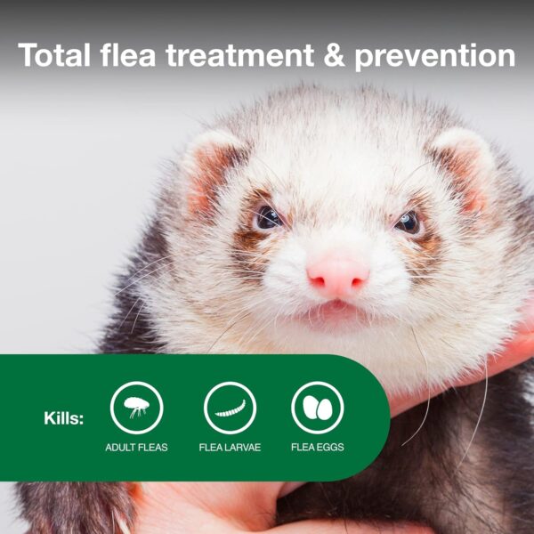 Advantage II Ferret Vet-Recommended Flea Treatment & Prevention | Ferret 1+ lbs. | 2-Month Supply - Image 4