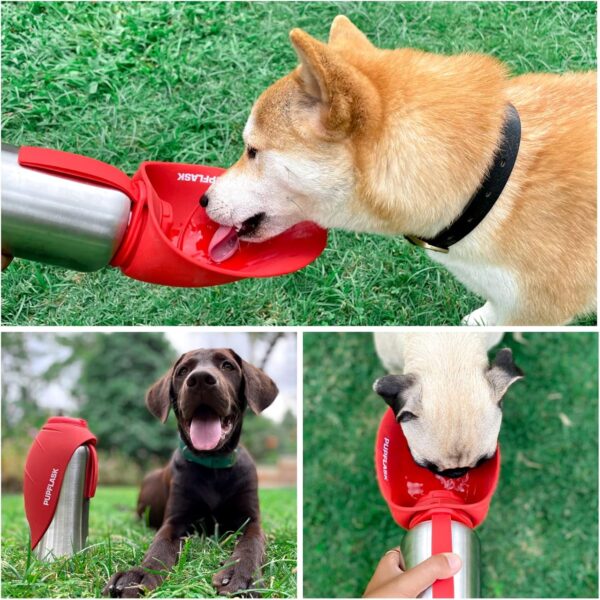 PupFlask Large Dog Water Bottle | 27 or 40 OZ Stainless Steel | Convenient Dog Water Dispenser | Puppy Travel Water Bowl | Portable Pet Water Bottle | Leak Proof Bottle Perfect Size For All Dog Breeds - Image 6