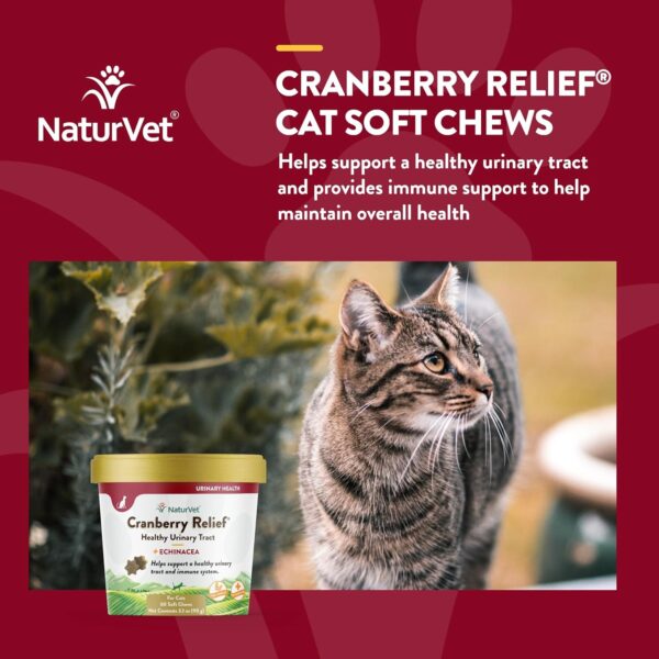 NaturVet Cranberry Relief Plus Echinacea for Cats, 60 ct Soft Chews, Made in The USA with Globally Source Ingredients - Image 4