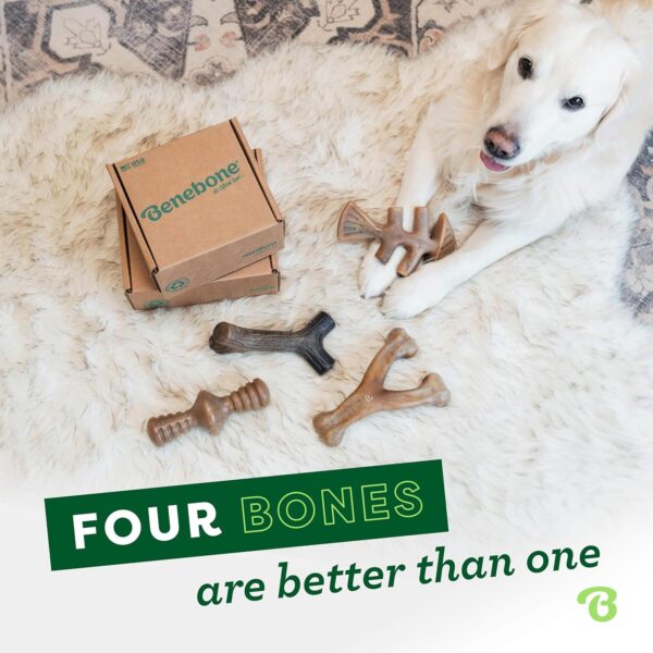 Benebone Large 4-Pack Dog Chew Toys for Aggressive Chewers, Made in USA, 90lbs and Under - Image 4