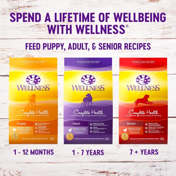 Wellness Complete Health Dry Puppy Food, Chicken, Salmon & Oatmeal, 5-Pound Bag - Image 9