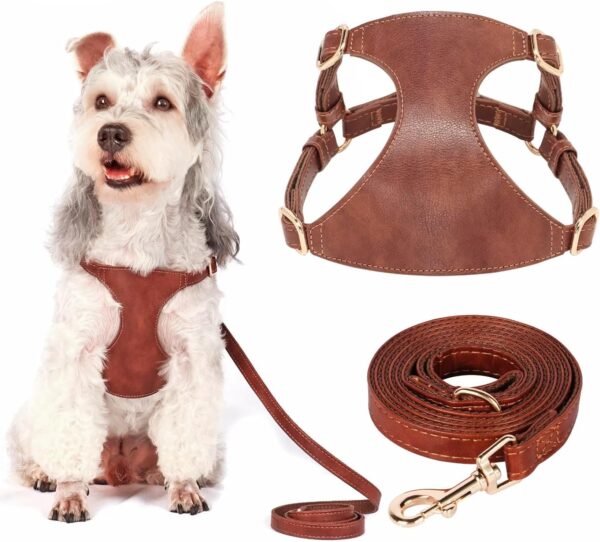 Didog No Pull Dog Harness for Small Dogs, Soft & Lightweight Small Dog Harness and Leash Set, Durable & Adjustable Leather XXS Dog Vest Harness for Puppy Small Medium Dogs, Brown, XXS