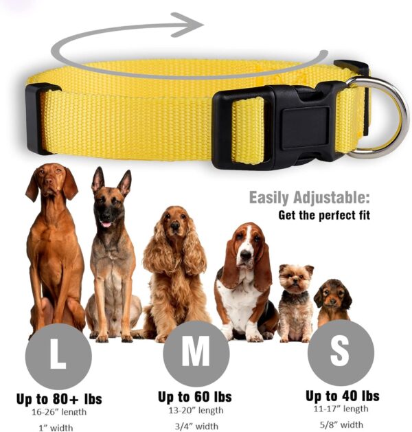 Native Pup Basic Nylon Dog Collar, Adjustable for Small, Medium, Large pet and Puppies Accessories, Cute Colors for Male, Female, boy, Girl, Puppy (Large, Yellow) - Image 3