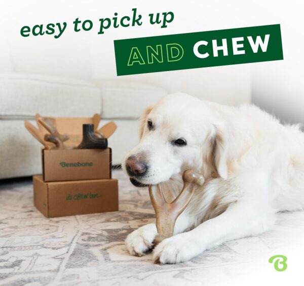 Benebone Large 4-Pack Dog Chew Toys for Aggressive Chewers, Made in USA, 90lbs and Under - Image 2