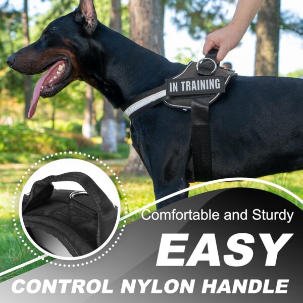 Essential Dog Harness with 3 Leash Clips - No-Pull, Adjustable, Comfortable Pet Vest Harness for Small to Large Dogs - Easy On, No Choke, Reflective, Padded Harness for Walking and Training - Image 6