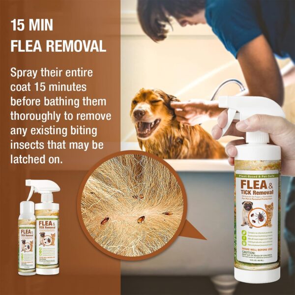 EcoVenger Flea & Tick Removal Spray 16oz for Dogs and Cats, Protects from Fleas, Mites, Ticks & Mosquitoes, eliminates+ Repels+ Housekeeping, Indoors/Outdoors, Plant-Based Formula Safe for Pets & Kids - Image 5