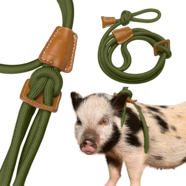 Mini Pig Harness & Leash (Small) Fully Adjustable, Infinity Style Lead, Step-in Harness, Potbelly Pig Supplies, All-in One, Pig Leash, Ideal for Small & Medium Pet Pigs (Small, Olive Green)