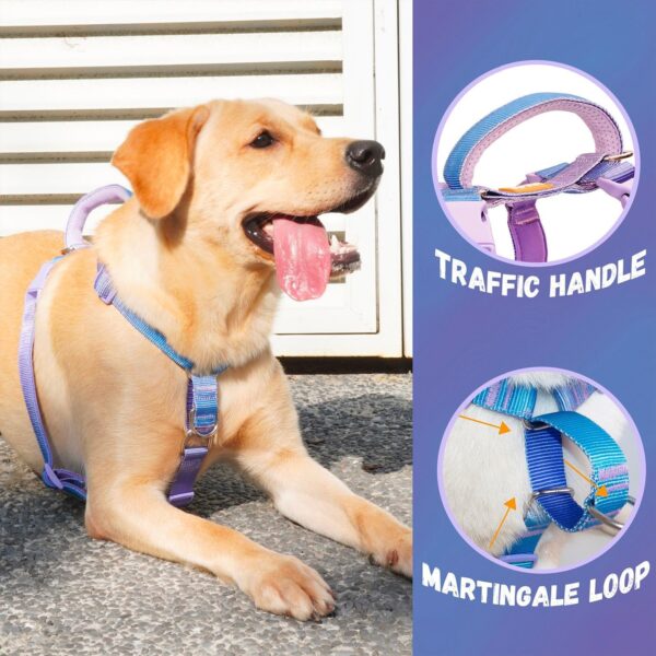 DF Martingale No Pull Dog Harness and Two Point Control Training Leash for Dog Walking Only Works with Martingale Harnesses, Rainbow, Chest 28"-33" - Image 2