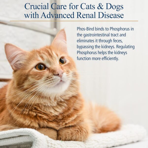 Rx Vitamins Phos-Bind - Kidney Support Supplement Powder - Phosphate Binder for Cats & Dogs for Kidney Health - Supports Normal Kidney Cleanse and Essential Kidney Care - 35g - Image 4