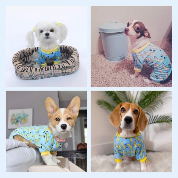 CuteBone Cat Apparel Pet Clothes Banana Dog Onesies Winter Jumpsuit Keep Your Furbaby Warm P06M - Image 4