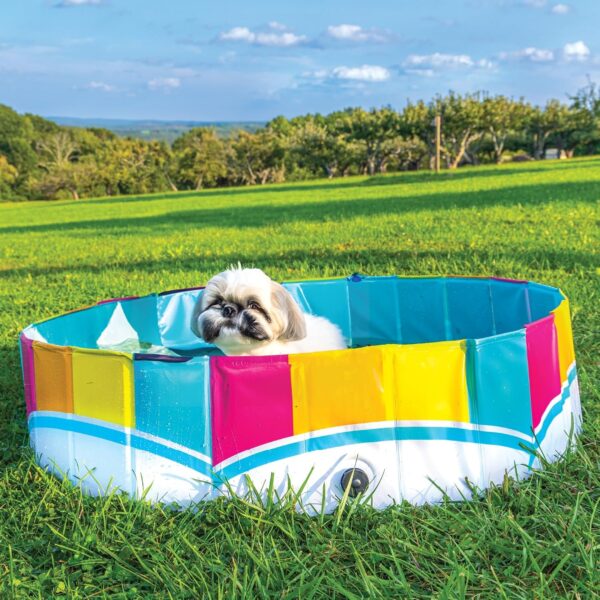 BigMouth Inc Foldable Dog Pool Collapsible Hard Plastic Pet Swimming Pool Portable Dog Bath Tub Kiddie Pool for Small Medium Dogs Cats Kids 47" Rainbow