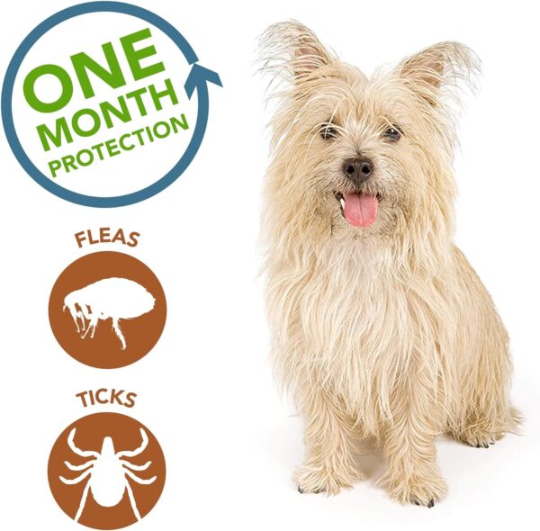 Vet's Best Topical Flea & Tick Treatment for Dogs up to 15lbs, 4 Month Supply - Image 4