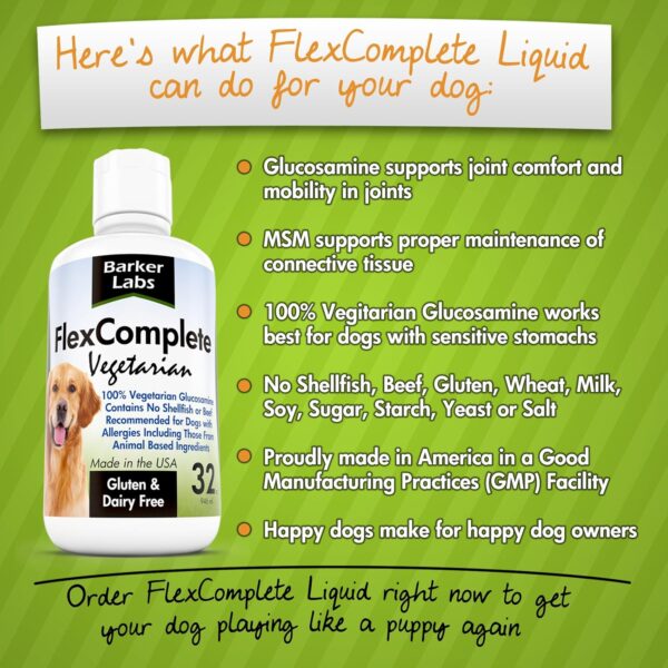 Liquid Vegetarian Glucosamine for Dogs - Joint Health and Mobility Support with Vegetarian Formula to Keep Pet Active and Healthy - for Small and Larde Dogs- Formulated in The USA - Image 4