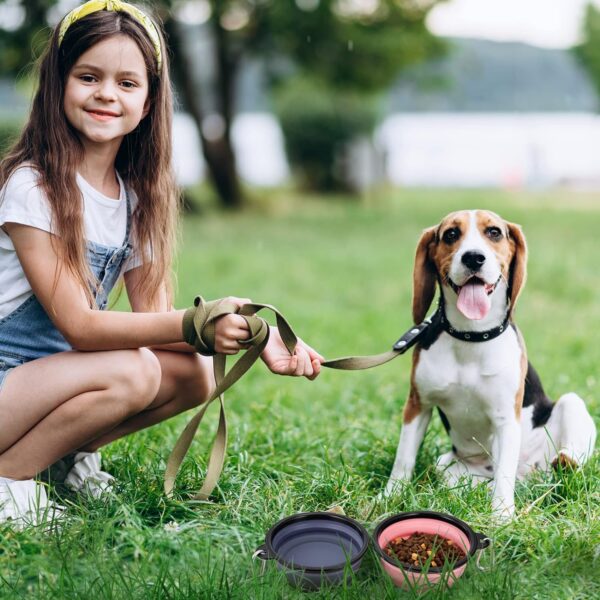 Dog Bowl Pet Collapsible Bowls, 2 Pack Collapsible Dog Water Bowls for Cats Dogs, Portable Pet Feeding Watering Dish for Walking Parking Traveling with 2 Carabiners (Small, Purple+Fairy Pink) - Image 3