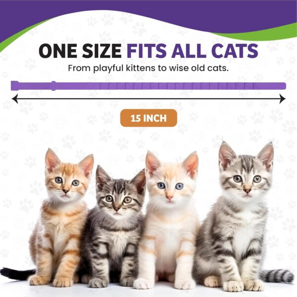 4 Pack Calming Collar for Cats, Cat Calming Collar, Calming Pheromone Collar for Cats, Cat Pheromone Collar, Cat Calming Collar for Anxiety, Efficient Relieve Anxiety Stress (4 Pack) - Image 4