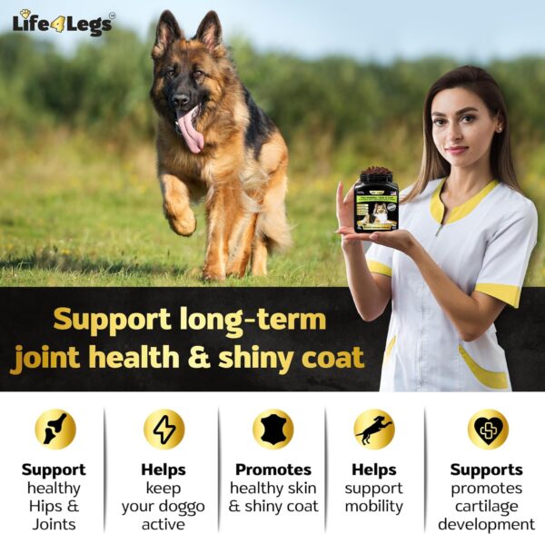 Hip and Joint Chews for Dogs + Skin and Coat Supplement - Dog Joint Pain Relief Treats - Glucosamine, Chondroitin, MSM, Hemp Oil, Turmeric, Omega 3 for Dogs, Mobility Dog Health Supplies - Image 4