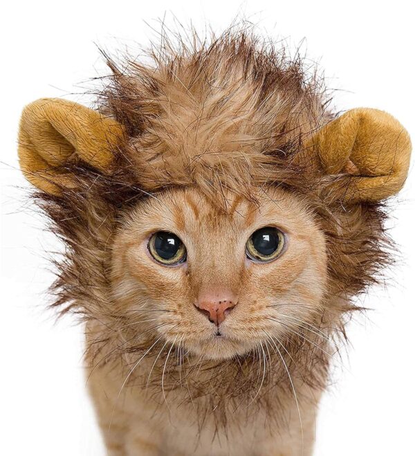 Pet Krewe Cat Lion Mane Halloween Costume – Fits Neck Size 8”-14 - Lion Costume for Small Cats and Kittens – Ideal for Halloween, Cat Birthday, Cat Cosplay, Cat Outfits, Pet Clothes