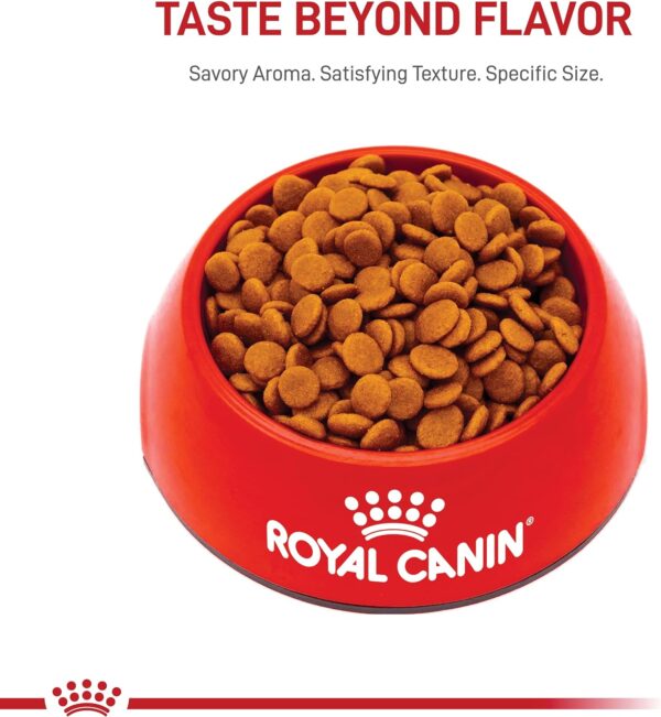 Royal Canin Small Digestive Care Dry Dog Food, 3.5 lb bag - Image 5