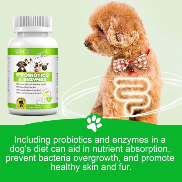 Probiotics for Dogs, 180 Chews Dog Probiotics and Digestive Enzymes, Promotes Gut Health, Dog Probiotics for Bowel Support, Immunity Health - Image 5