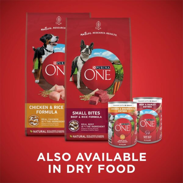 Purina ONE Tender Cuts in Gravy Chicken and Brown Rice, and Beef and Barley Entrees Wet Dog Food Variety Pack - (2 Packs of 6) 13 oz. Cans - Image 8