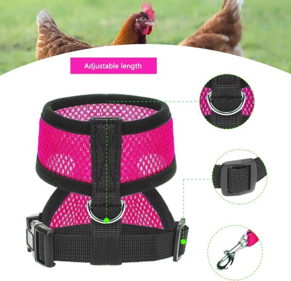 Chicken Harness and Leash, Modified Adjustable Breathable Harness Specially Designed for Rooster and Hens Duck Goose Training and Walking, Chicken Will Be Very Happy(2pcs) (Pink) M - Image 3