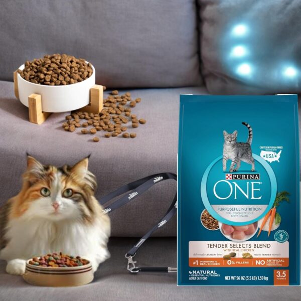 Natural Dry Cat Food, Real Chicken High-Protein Dry Cat Food, Supports Strong Muscles Energy SS Pet Training Whistle, Antioxidant-Rich for Immune Support, Cat Food [1-Pack] - Image 2