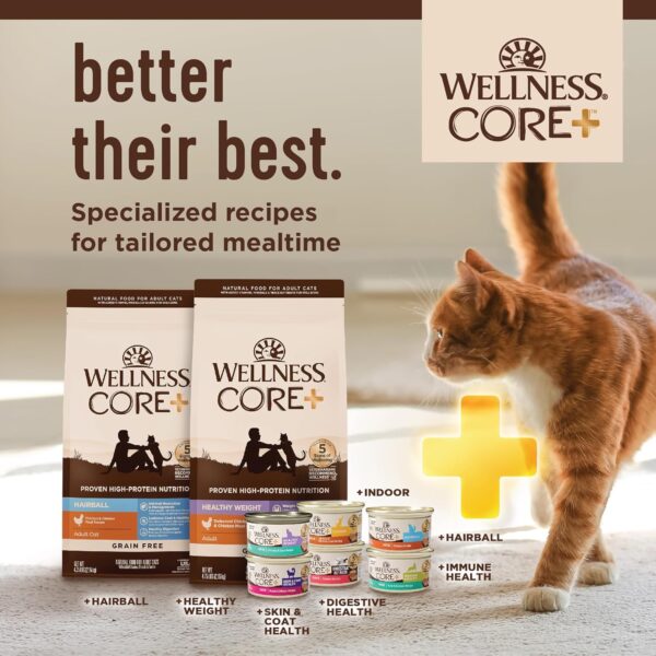 Wellness CORE+ Digestive Health Grain-Free Natural Wet Cat Food, Sensitive Stomach, Easily Digestible (Chicken Pate, 3 Ounce Can, 12 Pack) - Image 9