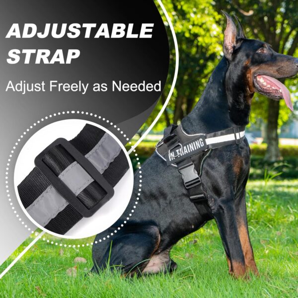 Essential Dog Harness with 3 Leash Clips - No-Pull, Adjustable, Comfortable Pet Vest Harness for Small to Large Dogs - Easy On, No Choke, Reflective, Padded Harness for Walking and Training - Image 5