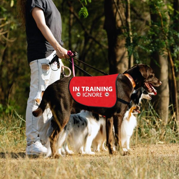 HOLLP Training Dog Jacket Vest in Training Ignore Dog Vest Dog Walking Jacket Warning Vest (in Training Ignore-Large) - Image 5