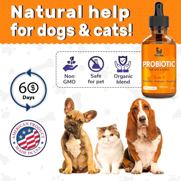 Probiotics for Dogs ◆ Cat Probiotic ◆ Great Dog Probiotics and Digestive Enzymes for Pet ◆ Dog Digestive Enzymes & Pure Prebiotic ◆ Canine Probiotic ◆ Probiotics for Cats ◆ Puppy Probiotic - Image 7