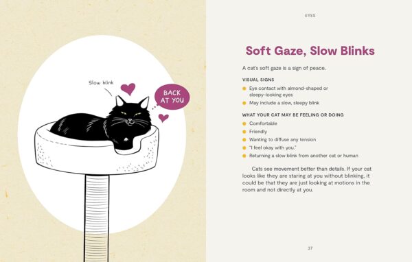 Kitty Language: An Illustrated Guide to Understanding Your Cat - Image 5