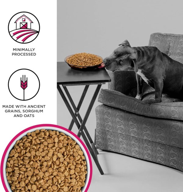 BIXBI Liberty Grain Friendly Dry Dog Food, Rancher's Red Recipe, 4 lbs - Fresh Meat, No Meat Meal, No Fillers - No Soy, Corn, Rice or Wheat for Easy Digestion - USA Made - Image 3