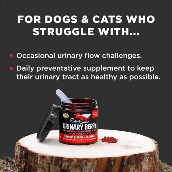 Super Snouts Urinary Berry Urinary Tract Supplements for Dogs & Cats, Made in USA, US & Canadian Blueberry & Cranberry Powder, UTI, Kidney Health Support, Bladder Support for Dogs (2.64 oz) - Image 3