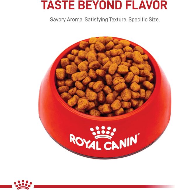 Royal Canin Yorkshire Terrier Adult Dry Dog Food, 2.5 lb bag - Image 8