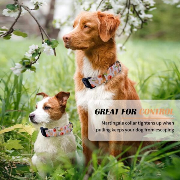 Martingale Collar for Dogs Peach Dog Collar for Small Medium Large Dogs Cute Holiday Summer Dog Collars Pet Gift (Peach,Medium) - Image 5