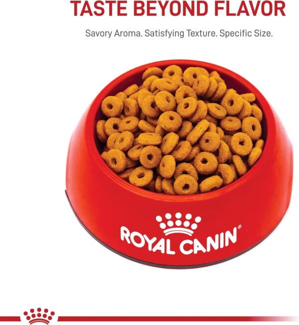 Royal Canin Digestive Care Dry Cat Food, 3 lb. bag - Image 11