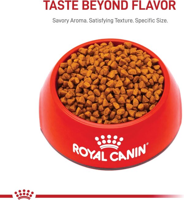 Royal Canin Size Health Nutrition X-Small Breed Dry Puppy Food, Supports Brain Development, Immune Support and Digestive Health, 3 lb Bag - Image 10