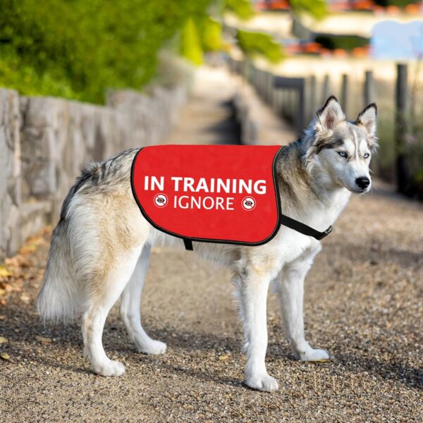 HOLLP Training Dog Jacket Vest in Training Ignore Dog Vest Dog Walking Jacket Warning Vest (in Training Ignore-Large) - Image 6