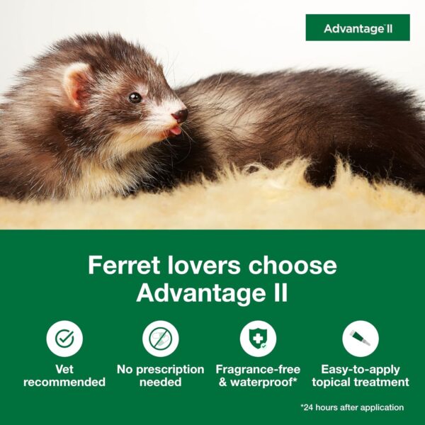 Advantage II Ferret Vet-Recommended Flea Treatment & Prevention | Ferret 1+ lbs. | 2-Month Supply - Image 3